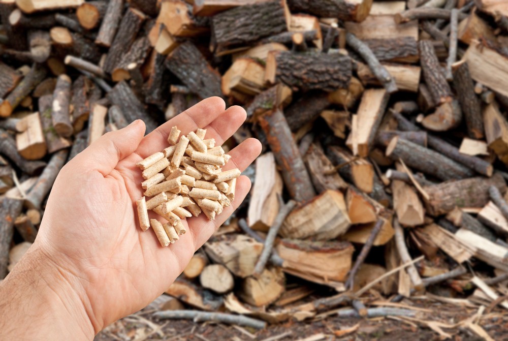 Wood Waste Business in Indonesia